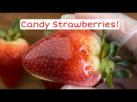 How To Make Candy Strawberries In The Microwave! 🍓🍬🍭 #candy #viral #diy #trending #youtube #how