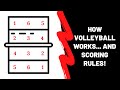 How Volleyball Works (and Volleyball Scoring Rules!)