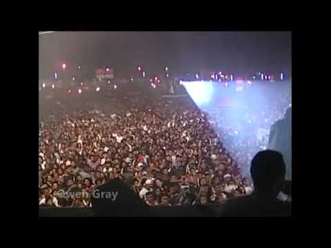 roots de verdade owen gray