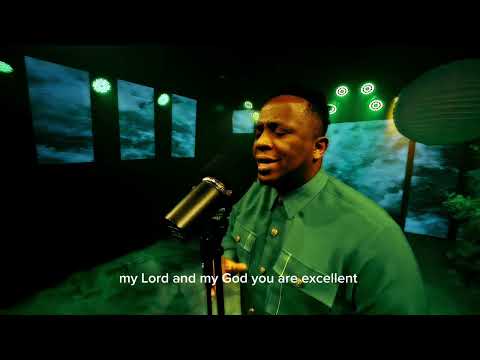 Thumbnail for Lion and The Lamb video