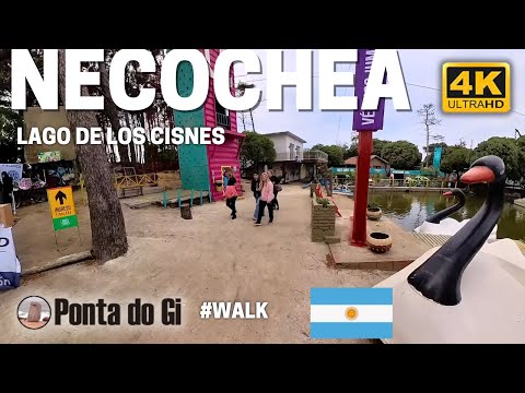 El MAGICO LAGO de los CISNES de NECOCHEA #walking TOUR 2025  COSTA ATLANTICA BONAERENSE - ARGENTINA