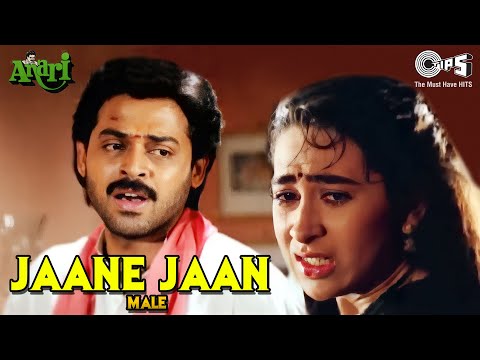Jaane Jaan (Male) | Anari | Karisma Kapoor, Venkatesh | Udit Narayan | 90's Hit Sad Song