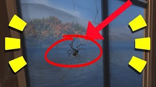 Overwatch - EASTER EGGS on WIDOWMAKER MAP Chateau Guillard