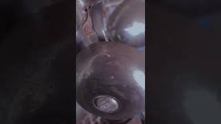 Download lagu Kring kring. Bicycle bell sound effect mp3 Download lagu Kring kring. Bicycle bell sound effect mp3