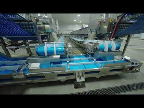 WECO Blueberry Sortivator (Untertitel in Deutsch)