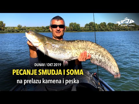 Pecanje Smudja i Soma na Dunavu / Fishing Zander and Catfish at Danube River