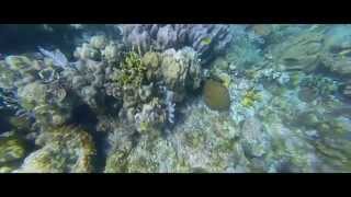 Heavenly Beat - Faults