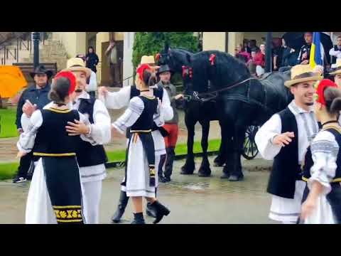 Parada cailor din comuna Gilău! 23-24.05.2025 !