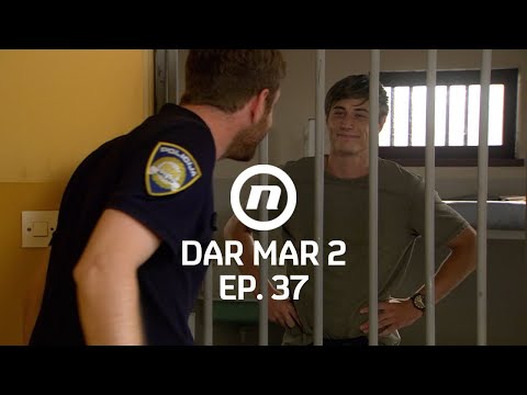 Neoprezan Nino - Dar Mar 2 - epizoda 37