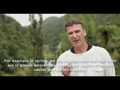 Jak pečujeme o včely na Novém Zélandu