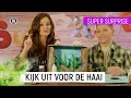 MAAK EEN ONDERWATERWERELD ? | Super Surprise | seizoen 2 #2 | NPO Zapp