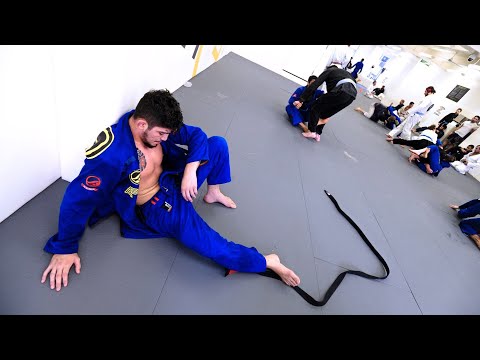 Bellator MMA Sign Conor McGregor Training Partner Dillon Danis