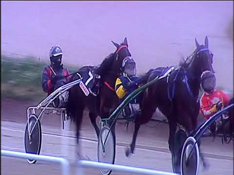 Trotto 13/12/2019 - 2ª corsa