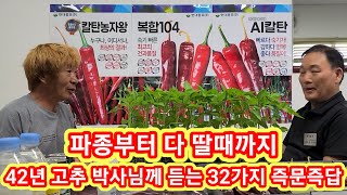 42년 고추박사 님께 듣는 32가지 즉문즉답 파종부터 다 딸때까지