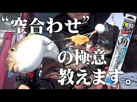 Caranx sexfasciatusについて詳しく解説