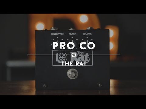 ProCo The Rat Distortion | Reverb Demo Video