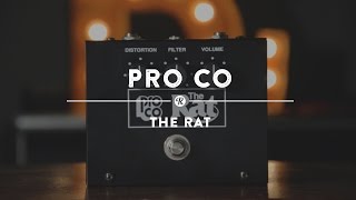 ProCo The Rat Distortion | Reverb Demo Video