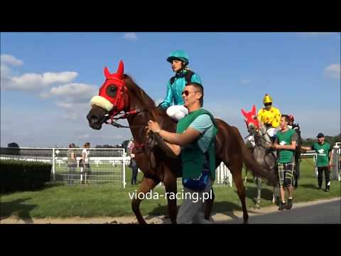 Gon. VII - 16.06.2019 - Basalah Al Khalediah (Nayef Al Khalidiah - Jaleelat   Al Khalidiah)