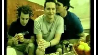 blink-182 What Went Wrong (Legendado)