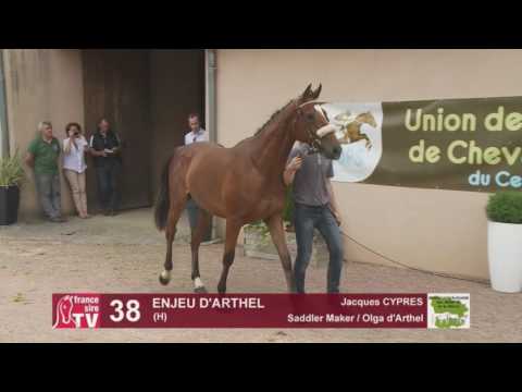 Concours AQPS Cercy 2016 Lot 38 : ENJEU D'ARTHEL