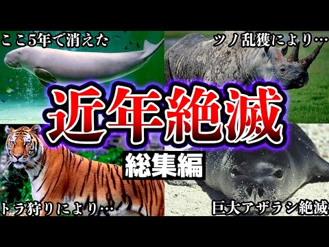 絶滅: サイズが重要です!
