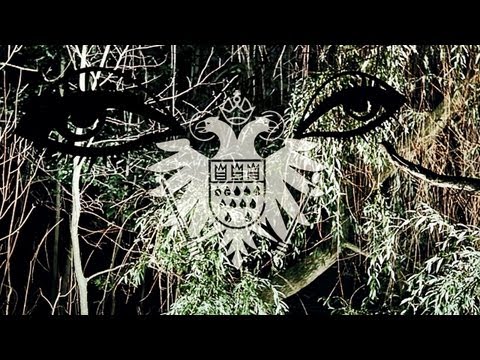 Thomas Fehlmann - Eye (Official Video) 'Eye/Tree' EP