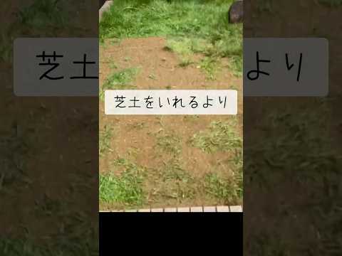 太陽に焼けたSOS草！焼けた芝生を救うための究極ガイド + 緊急に避けるべき 5 つの間違い  庭園