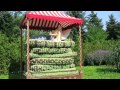 Märchen von Hans Christian Andersen: Die ...