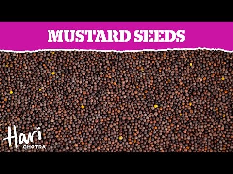 Specification of mustard seeds