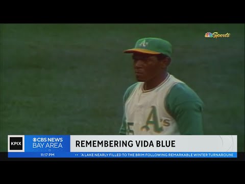 Vida Blue Net Worth