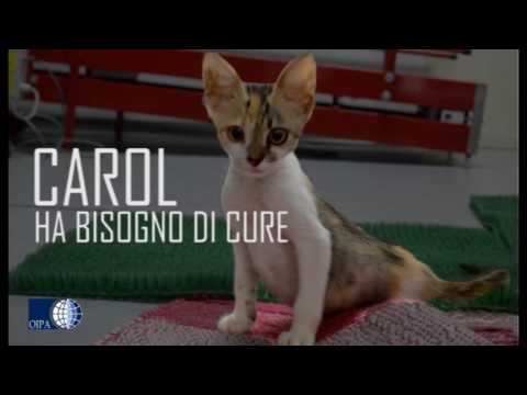 Ingrossamento dei linfonodi nel trattamento del collo Mal di testa con cervicale notte osteocondrosi