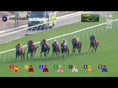 Golden Sixty wins first-up at Sha Tin