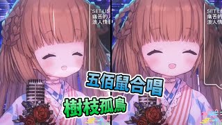 [Vtub] 茸茸鼠 初老鼠和蘿蘿鼠的合唱 樹枝孤鳥 伍佰鼠