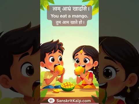 Learn Sanskrit Sentence: त्वम् आम्रं खादसि। | You eat a mango. | तुम आम खाते हो।
