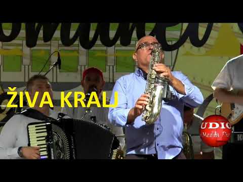 ZIVA DINULOVIC - VLASKA KOLA UZIVO