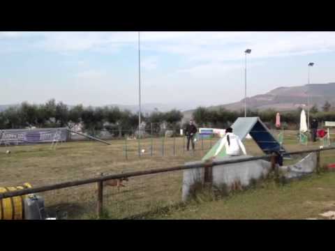 STAGE con STEFANO ZANINI del POWER DOG - ylenia con tommy