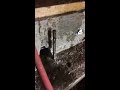 Waterproofing a Salem, OR Crawlspace