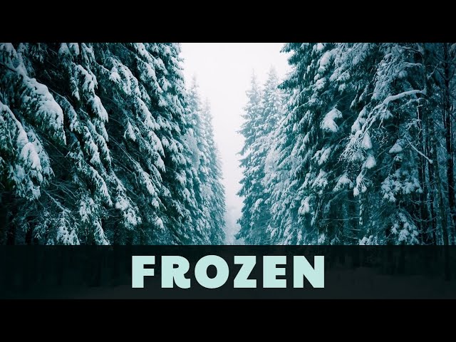 Sachila Chathnuka x KVSHA - Frozen (Remix Stems)