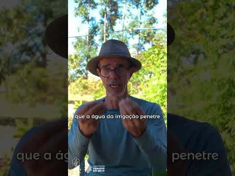 Voluntários do Viveiro Escola - Alto Paraíso de Goiás