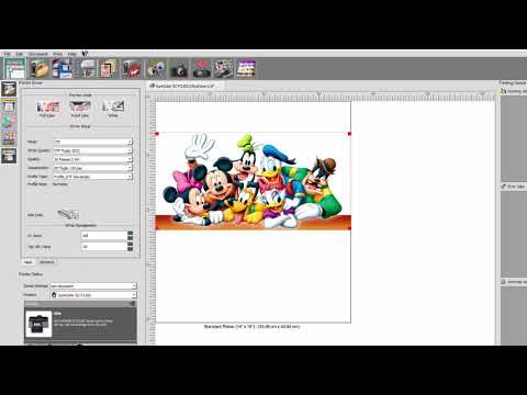 DevStudio DTF RIP V8 for A3+ Size Printers (up to 13 inches): RIP software designed for printing with DTF technology - 125vQgBLv6s