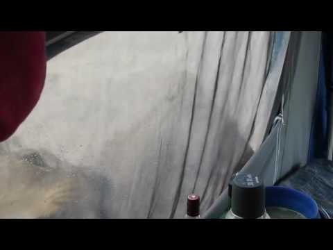 Lions licking water off a tent  Cameraperson solid as a rock