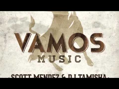 Scott Mendez, Dj Tamisha - Vazilando (Soul Cartel Remix)