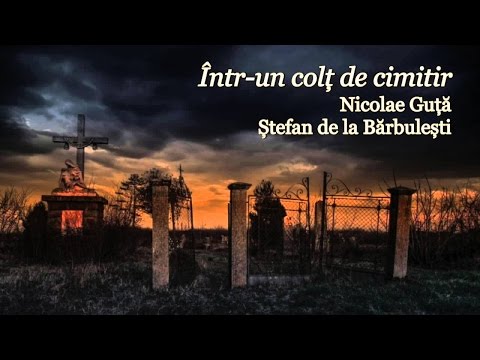 Nicolae Guta si Stefan de la Barbulesti - Intr-un Colt de Cimitir