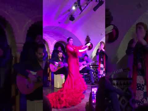 🇪🇸 Flamenco dancing in the beautiful Barcelona Spain #travel #adventures #dance #barcelona #spain