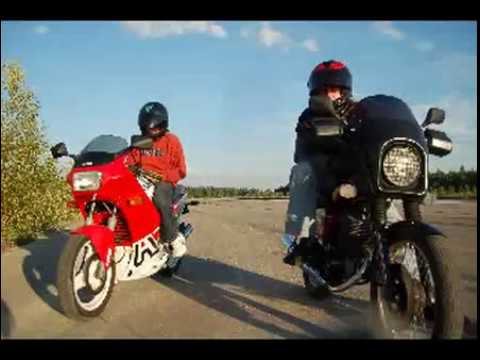 dziki 5 - dziki i kot