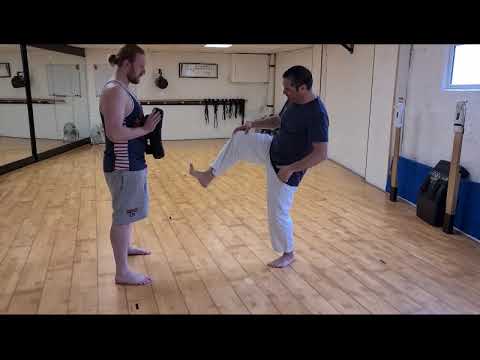 The Anatomical Train of Mae Geri