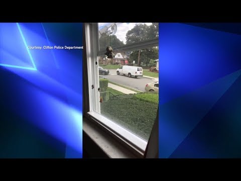 NJ Clifton Police Department & Luring Incident Update