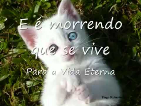 download lagu mp3 mp4 Orao De So Francisco, download lagu Orao De So Francisco gratis, unduh video klip Orao De So Francisco