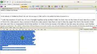 Editing with Firebug