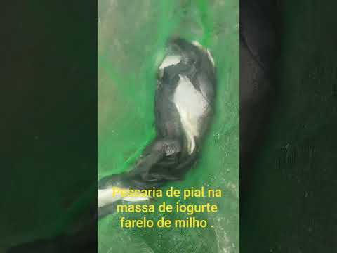 barragem,de ,arneiroz ceará